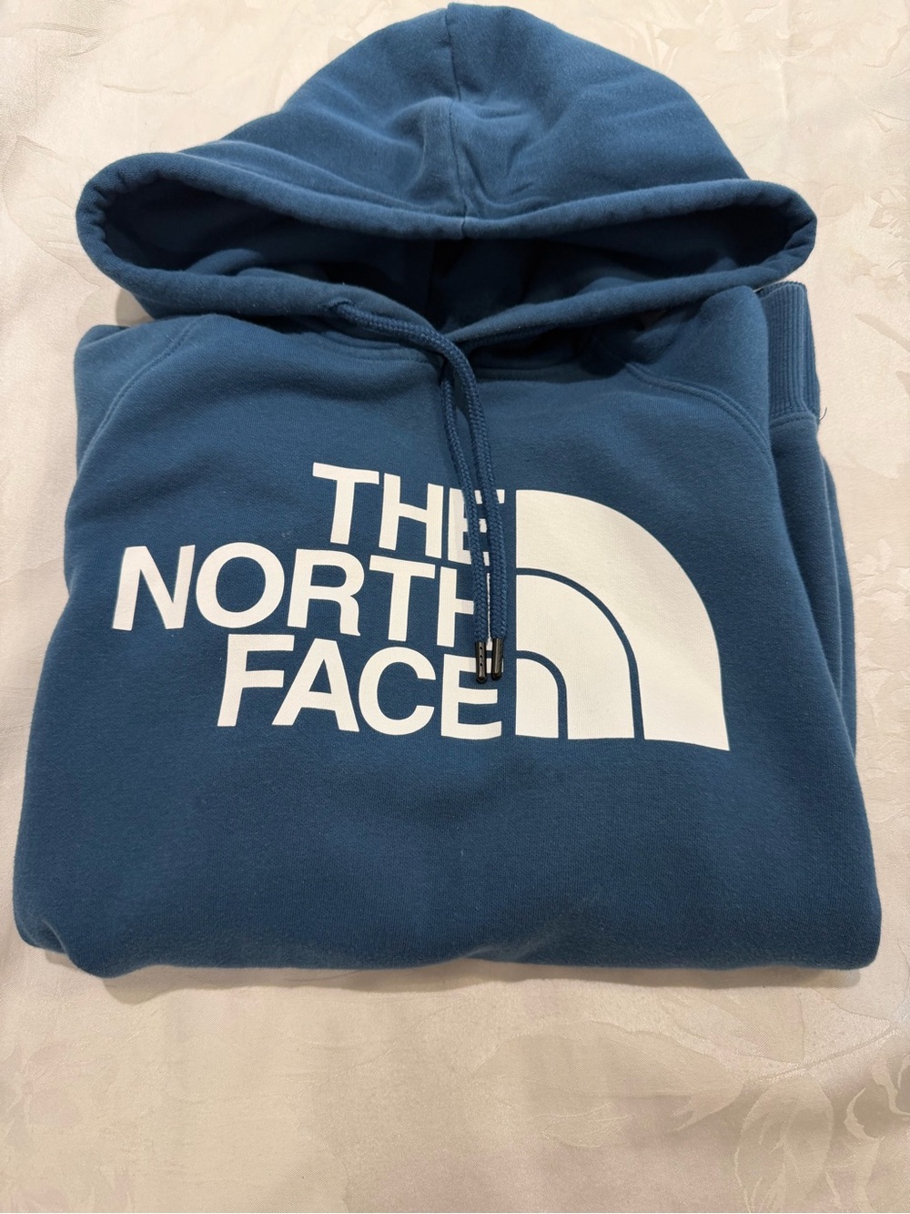 The North Face Men's Teal Blue Logo Hoodie